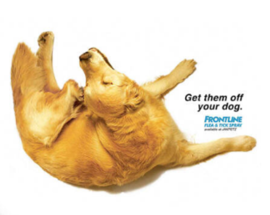 Frontlike Flea & Tick Spray Ad Campaign